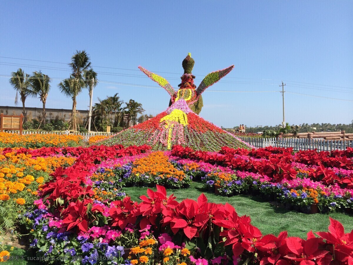 凤凰花海 凤凰于飞 普吉 风情 热带 酒店 棕榈 椰树 泳池 假日 餐吧 风景 蓝色泳池 泰国 海岛 旅游 国内旅游 旅游摄影