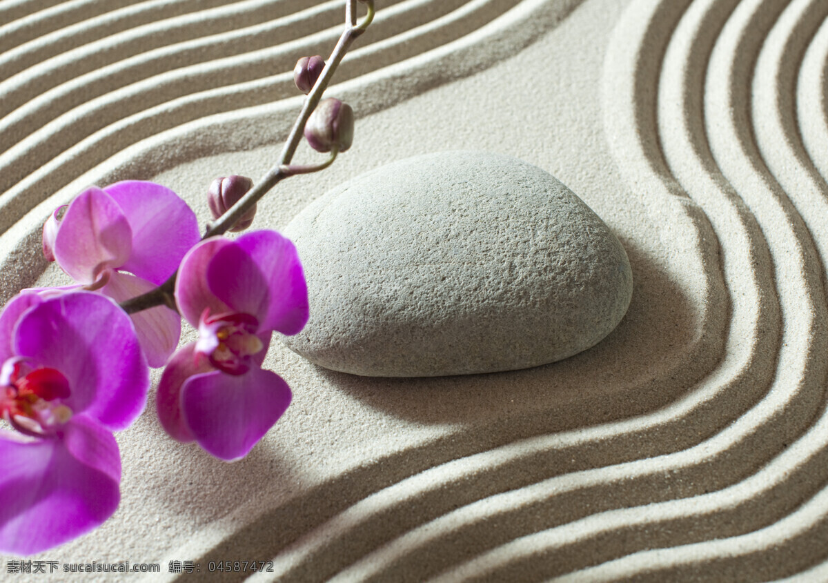 沙子 背景 鹅卵石 鲜花 spa水疗石 spa 美容 养生 花朵 石块 石头 底纹背景 其他风光 风景图片
