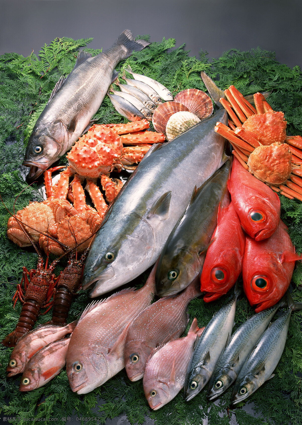海鲜 海鱼 鱼类 海鲜食材 游水海鲜 海洋生物 新鲜海鲜 海鲜素材 海洋资源 食物原料 餐饮美食 摄影图库 摄影图片 高清图片 印刷图片