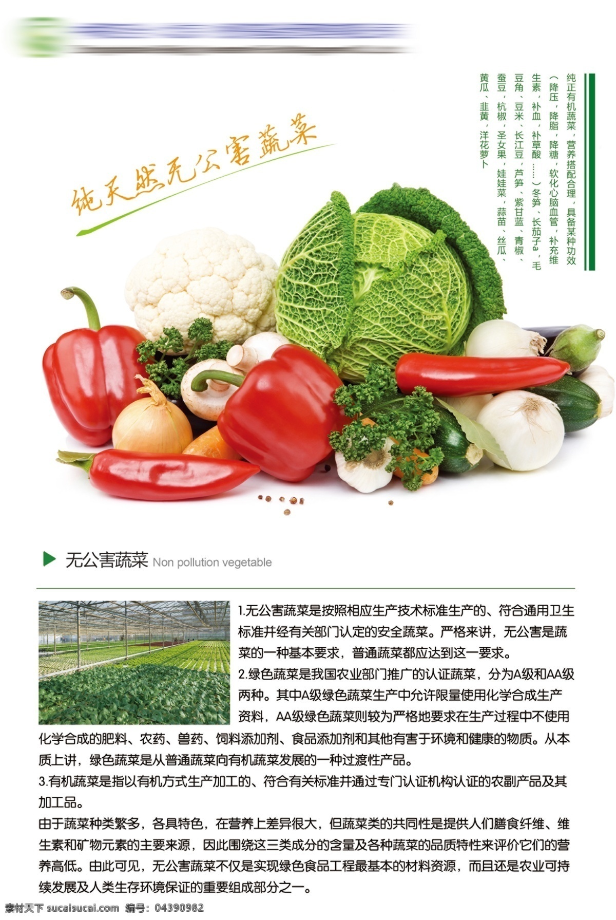 无公害 蔬菜 展板 海报 蔬菜海报 蔬菜广告 蔬菜展板 超市广告 有机蔬菜 农家蔬菜 辣椒 花菜 白菜 萝卜 香菇
