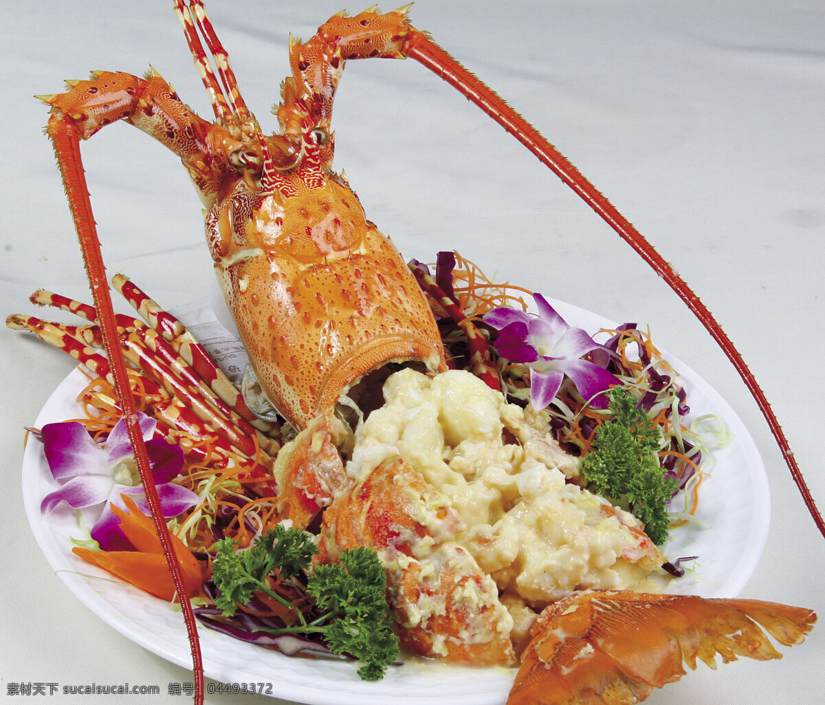 大龙虾 芝士焗龙虾 西餐 餐饮美食 西餐美食 摄影图库