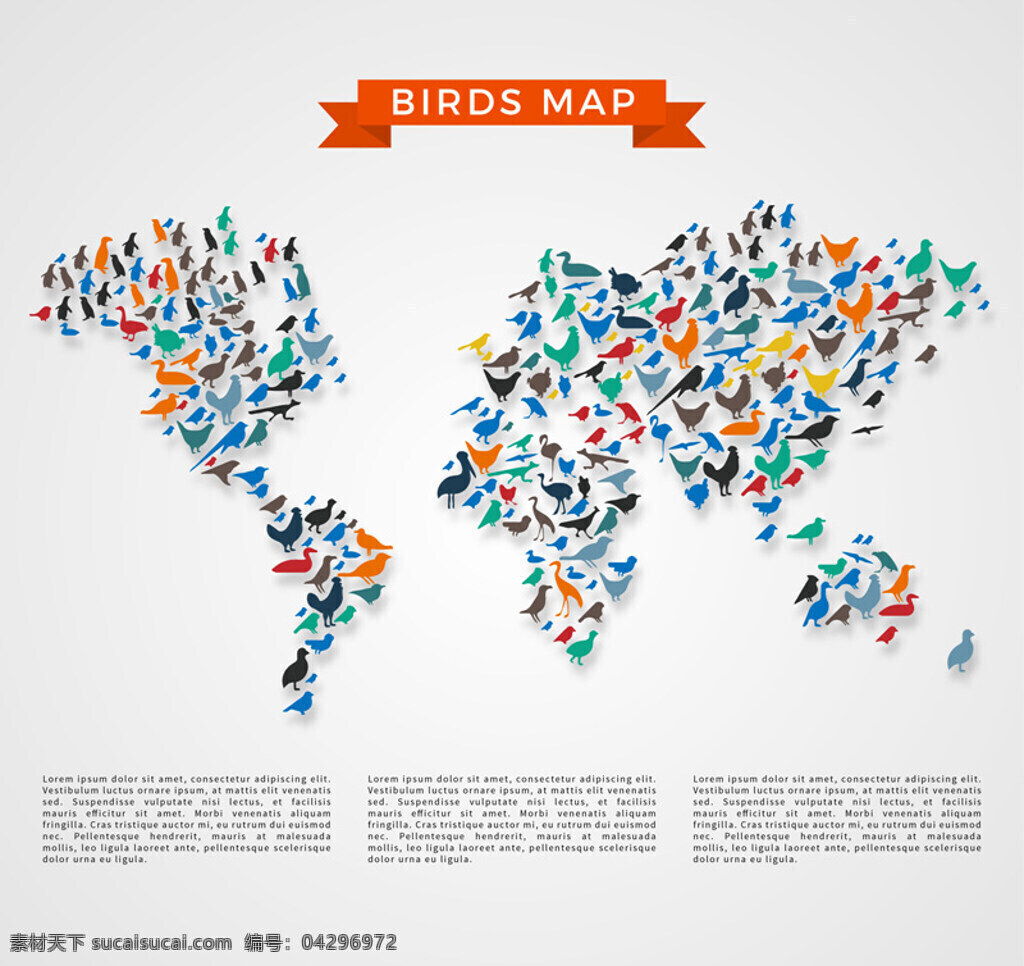 鸟类分布地图 鸟类 地图 世界 白色