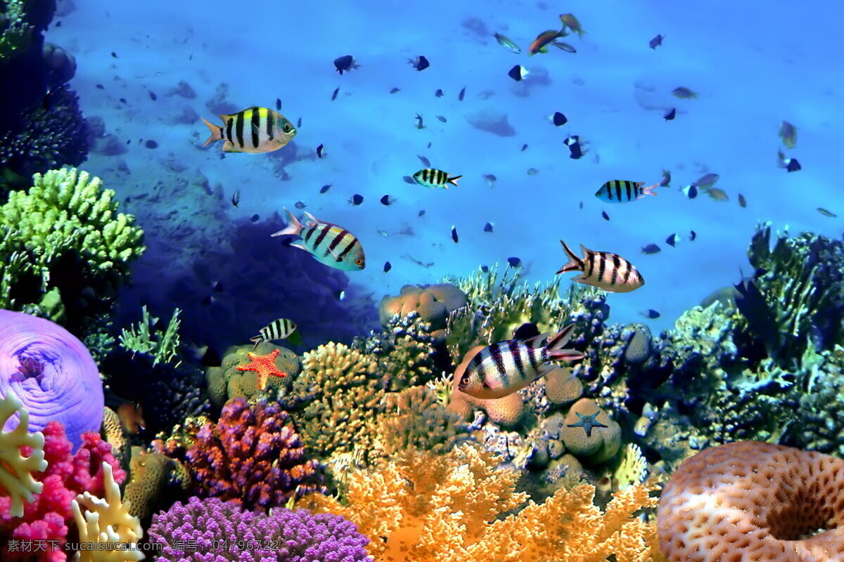 海底 海洋 深海 海底世界 深海海底 热带海底 大海 海鱼 鱼群 鱼类 小鱼 海产品 海水 海洋生物 海洋动物 珊瑚 珊瑚礁 水草 海藻 水生生物 动物 生物世界 水生动物