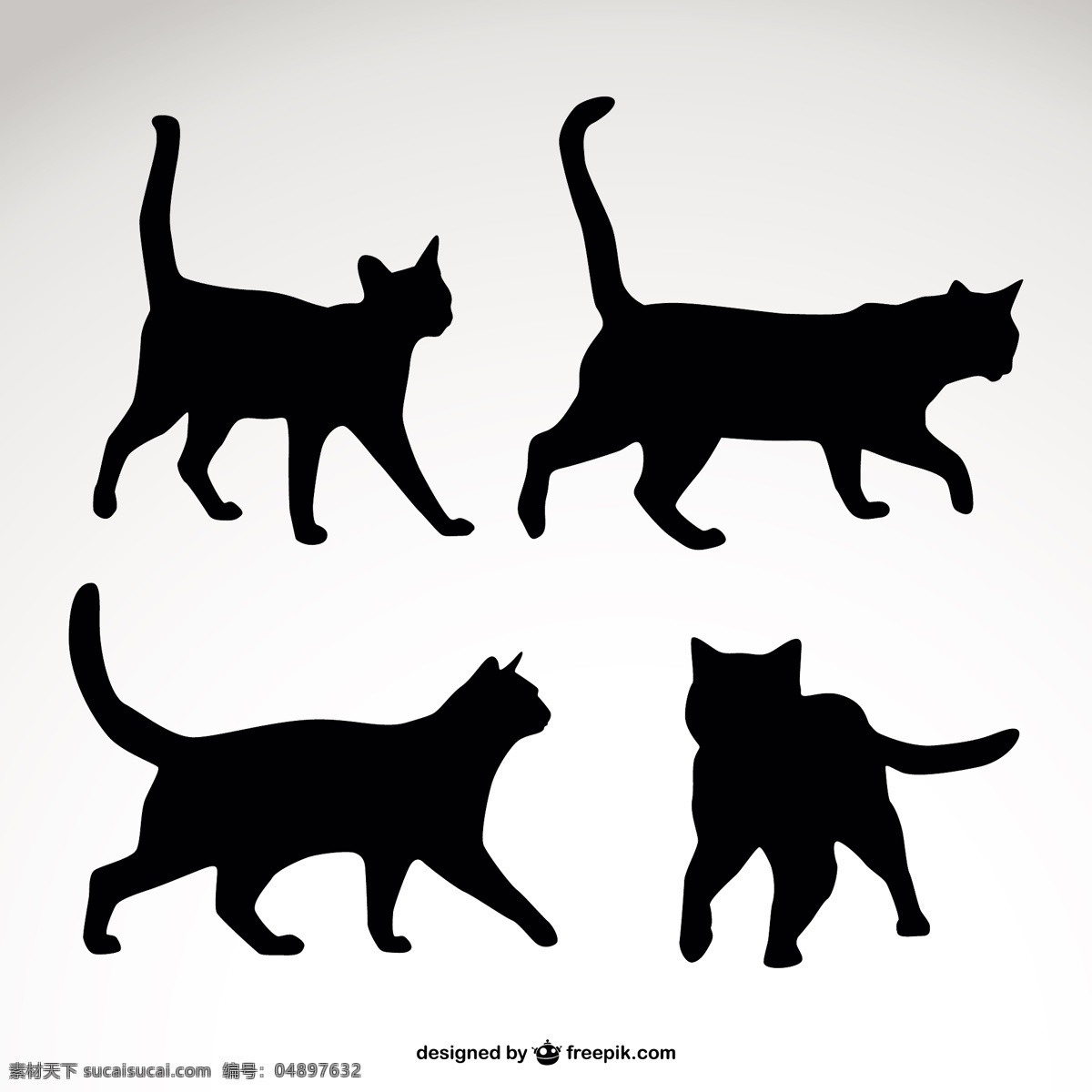 猫的轮廓集 模板 猫 动物 图形 轮廓 布局 符号 图形设计 黑色 宠物 形状 插图 设计元素 简单 元素 白色