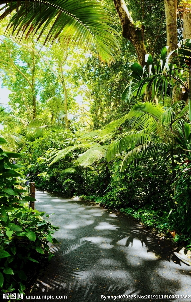 绿色 林荫道 风景 绿色风景 林荫风景 绿树 绿叶 绿荫 绿荫景观 自然风景 图片大全 高清图片下载 共享素材 自然景观