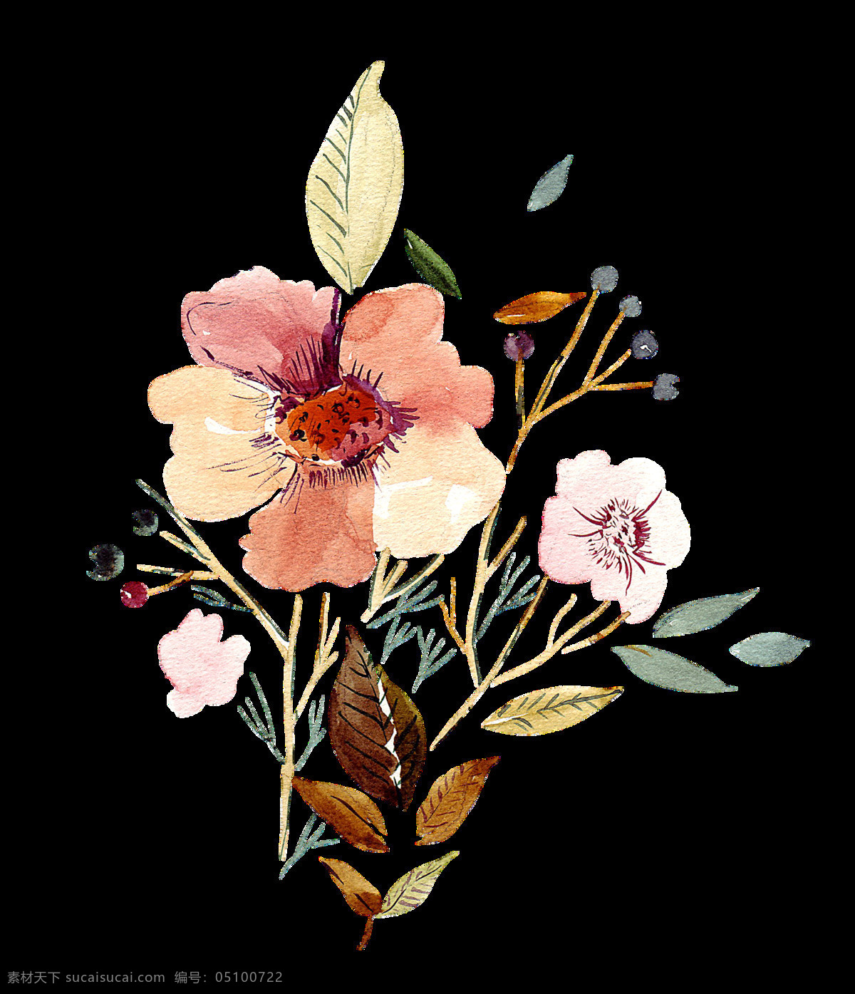 水彩 鲜花 透明 装饰 抠图专用 设计素材