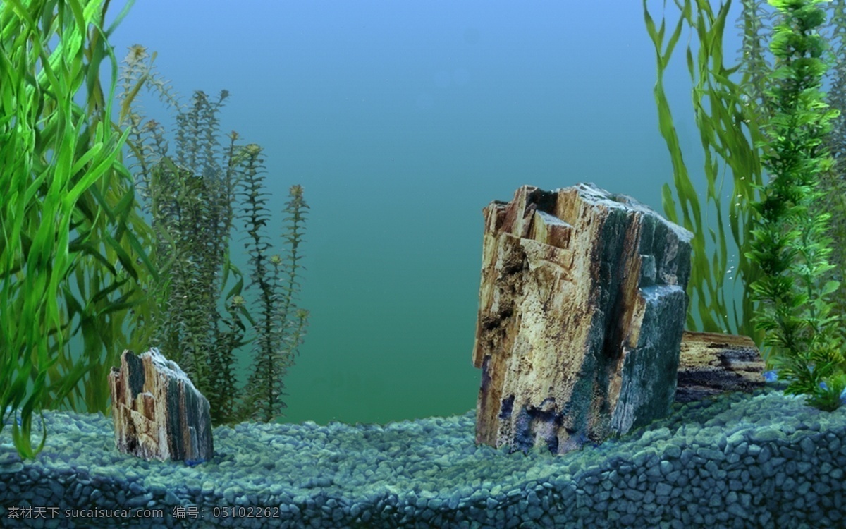 鱼缸 水族箱 背景 图 背景图 金鱼 热带鱼 造景 水草 鱼类 生物世界