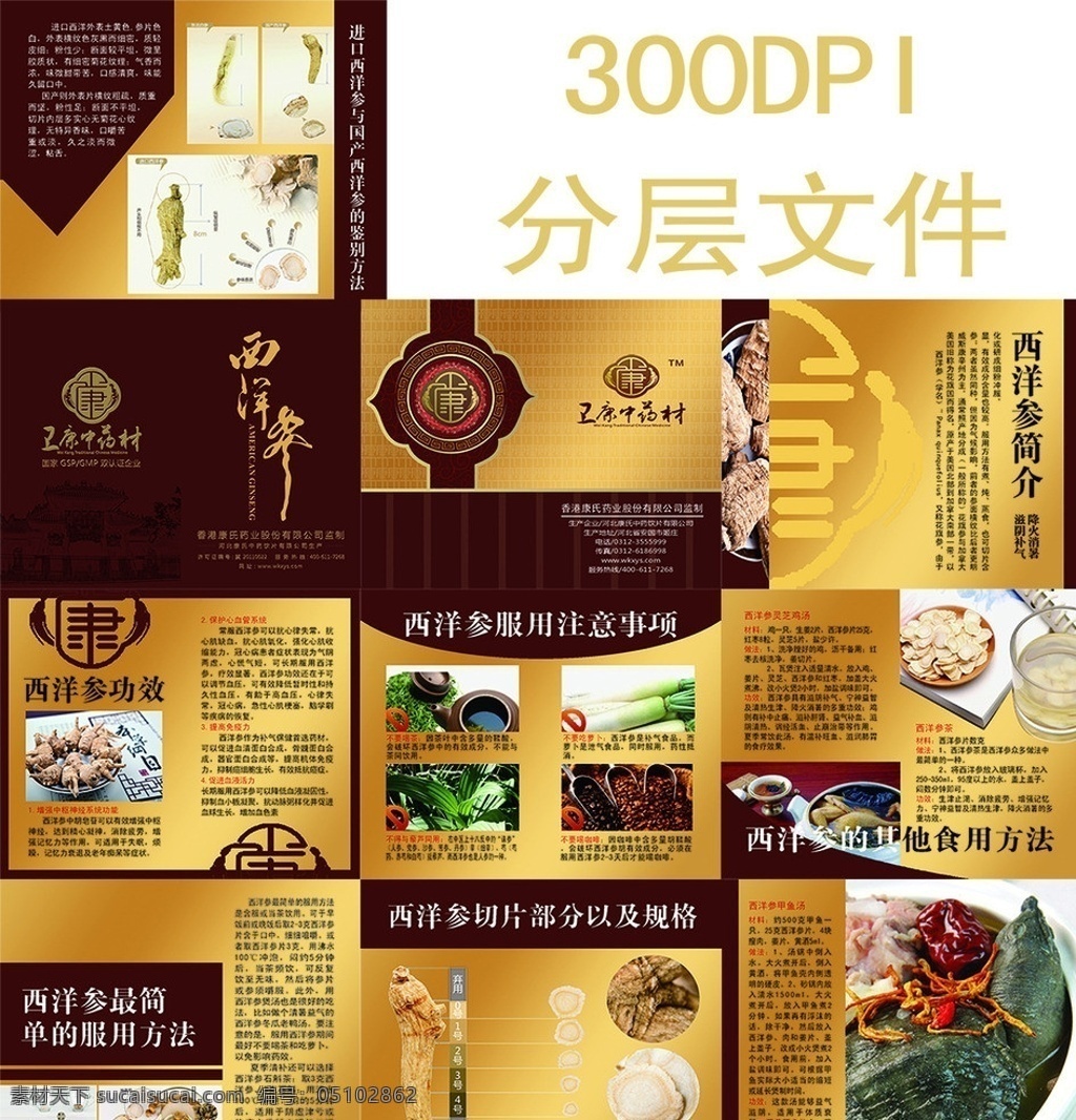 西洋参 产品 说明 中药材说明书 西洋参作用 西洋参食品 西洋参介绍 广告设计模板 源文件