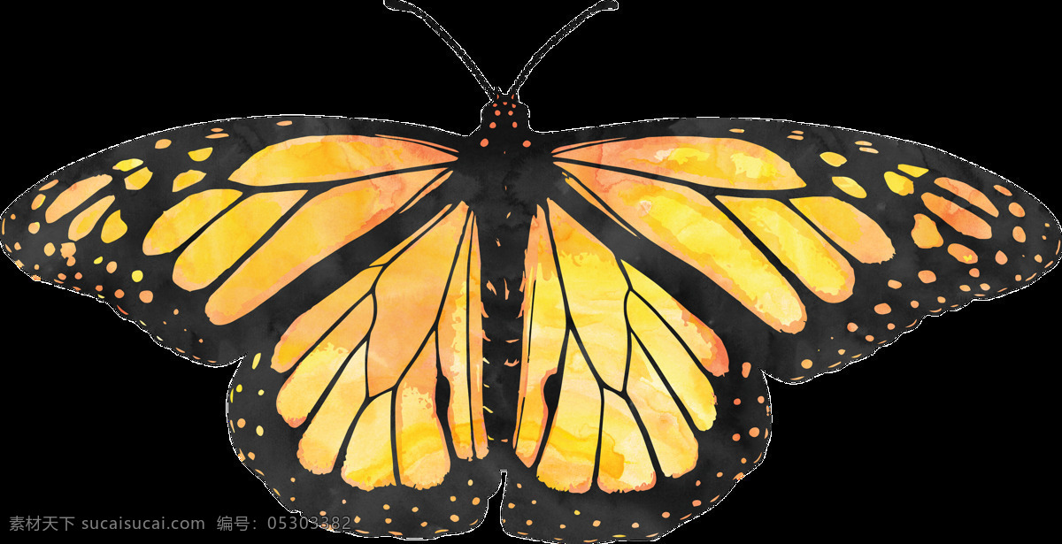 黄 翅 黑 蝴蝶 卡通 透明 装饰 动物 飞行 透明素材 免扣素材 装饰图案