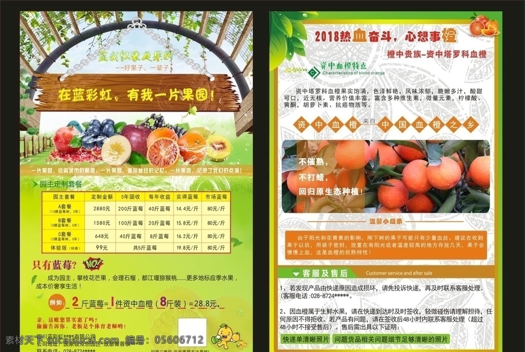 资中 血 橙 dm 单 资中血橙 血橙 血橙dm单 资中血橙宣传 血橙宣传单 橙子宣传单 橙子dm单 橙子 脐橙 脐橙宣传单 脐橙dm单 dm单三折页 dm宣传单
