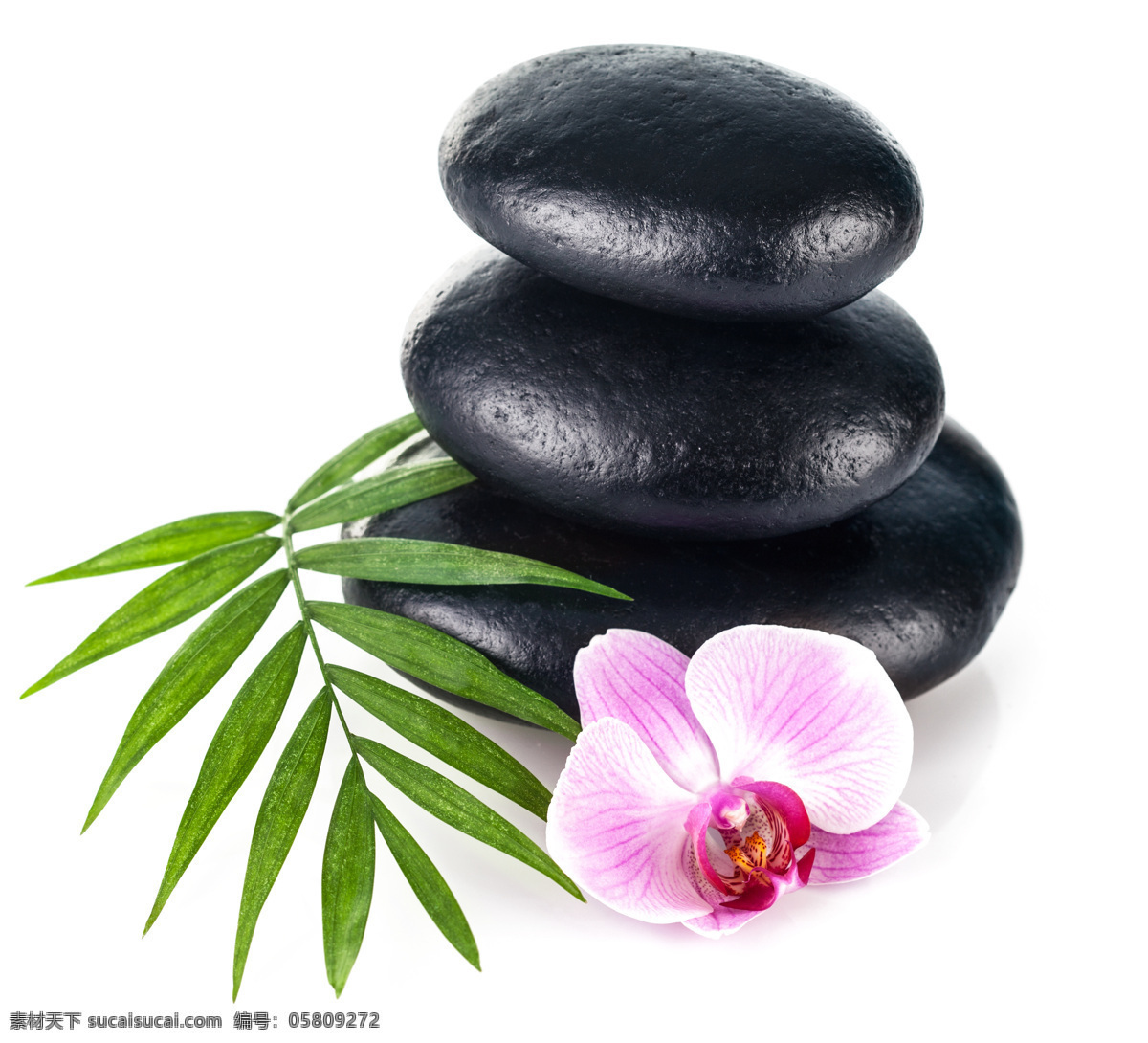 水疗用品 麦饭石 养生按摩石 美容 spa 用品 美容鲜花禅石 美容石头 美容石块 美容禅石 绿叶 鲜花 水波 护理 水疗 美容素材 美容用品 美容spa 蜡烛 小石 石头 鹅卵石 意境 清新 风景 风光 树叶 水滴 禅意 自然 竹 竹叶 竹子 生活交通 生活百科 生活素材