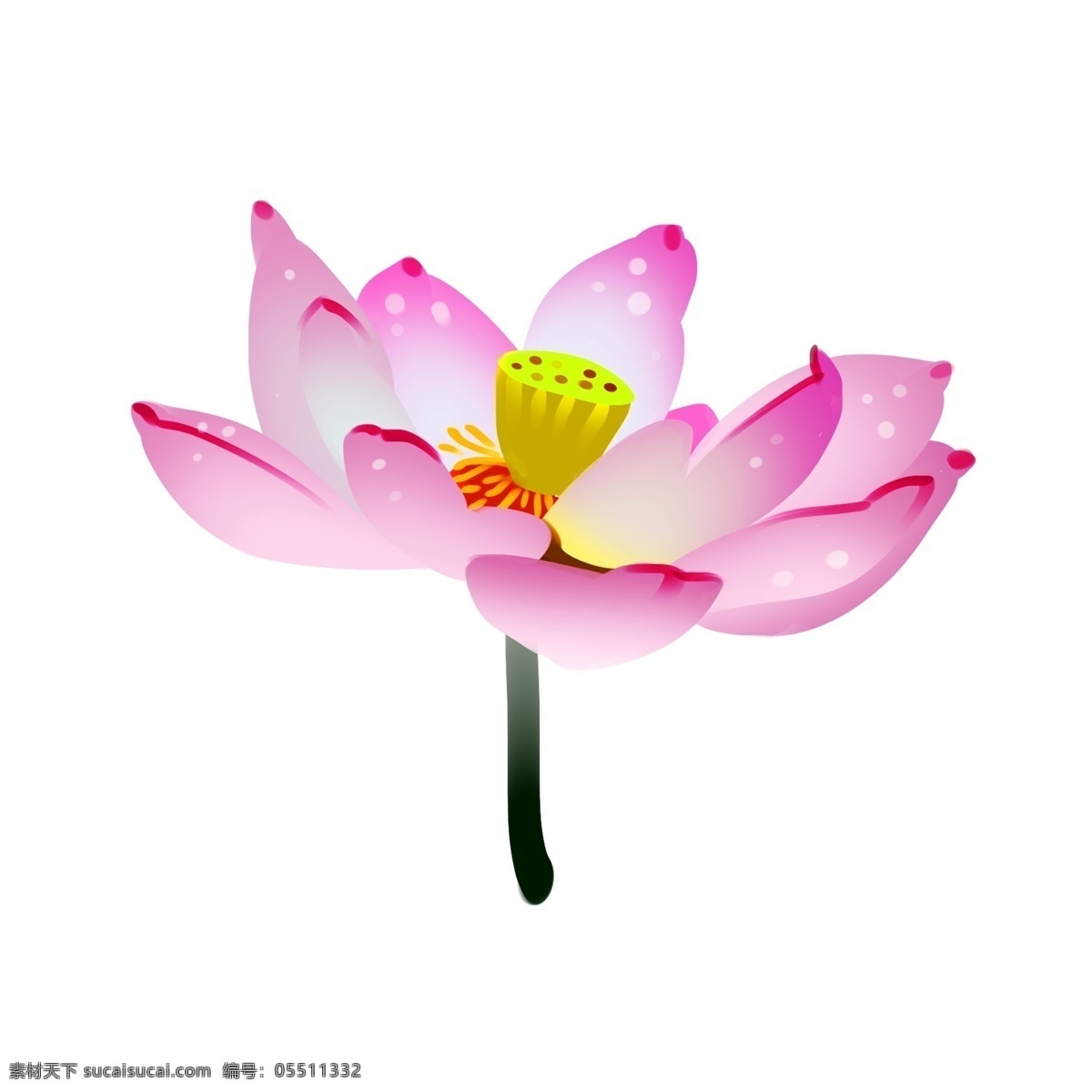 粉色 荷花 卡通 插画 粉色的荷花 卡通花朵 花卉 植物 一枝荷花 漂亮的荷花 荷花装饰插画 鲜花 春天荷花