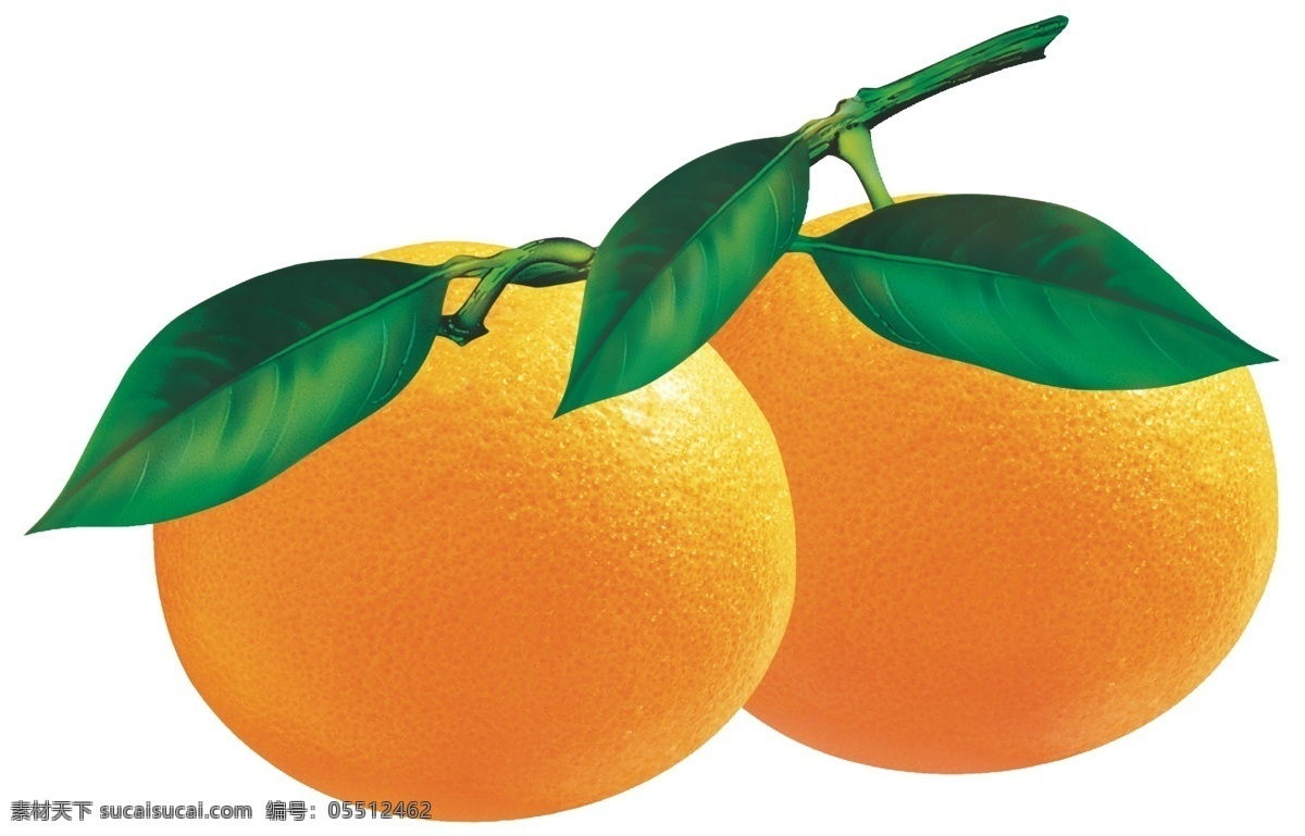 高清 桔子 图 橘子 免扣 漂亮 包装设计