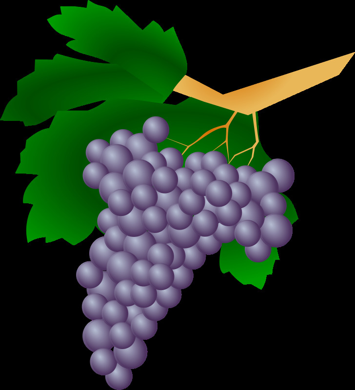 葡萄葡萄 葡萄簇 葡萄 葡萄的葡萄 植物 普兰特 葡萄干 瓦因 vin 藤 葡萄酒 svg 黑色