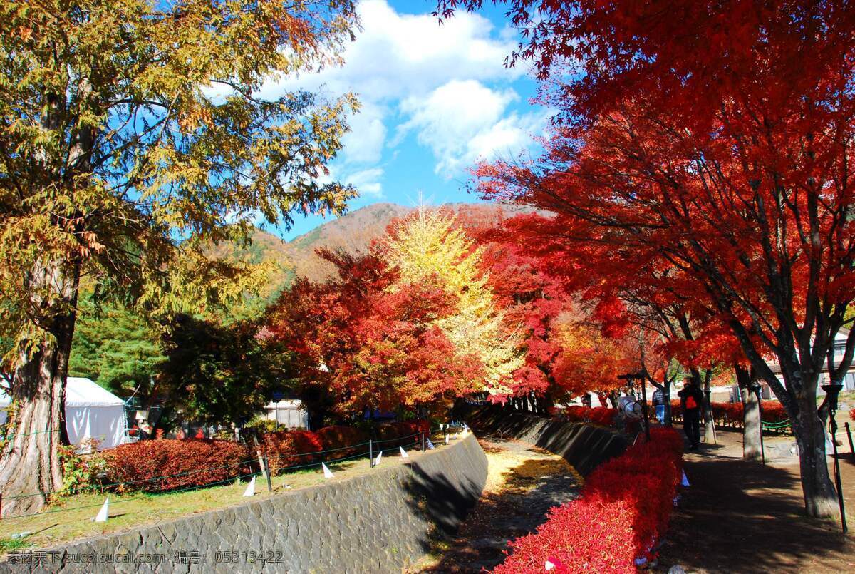 日本 河口 湖 景点 河口湖 火山湖 自然景观 山水风景 富士山 旅游摄影 国外旅游