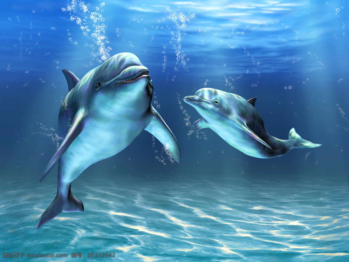 海豚 海豚馆 海洋动物 海底 海洋馆 极地海洋世界 海洋公园 聪明动物 深海 海底世界 水纹 光斑 马 动物 生物世界 海洋生物