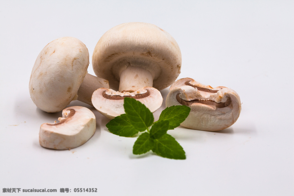 口蘑 白蘑 圆蘑菇 洋蘑菇 双孢蘑菇 白蘑菇 蘑菇 食物 食材 餐饮美食 食物原料 食物原料01