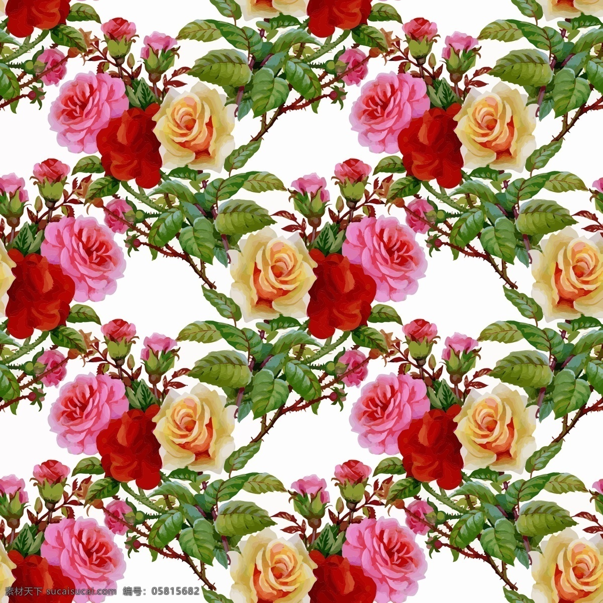 浪漫 唯美 三 色 玫瑰花 背景 底纹 植物 三色 花朵