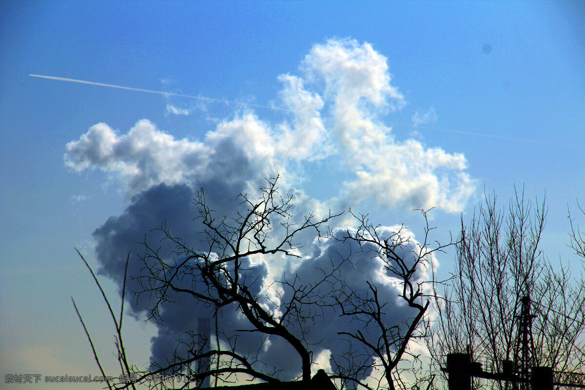 空气污染 空气 污染 蓝色 树枝 白云 尾气 大气 枯萎 鸟巢 工业生产 现代科技