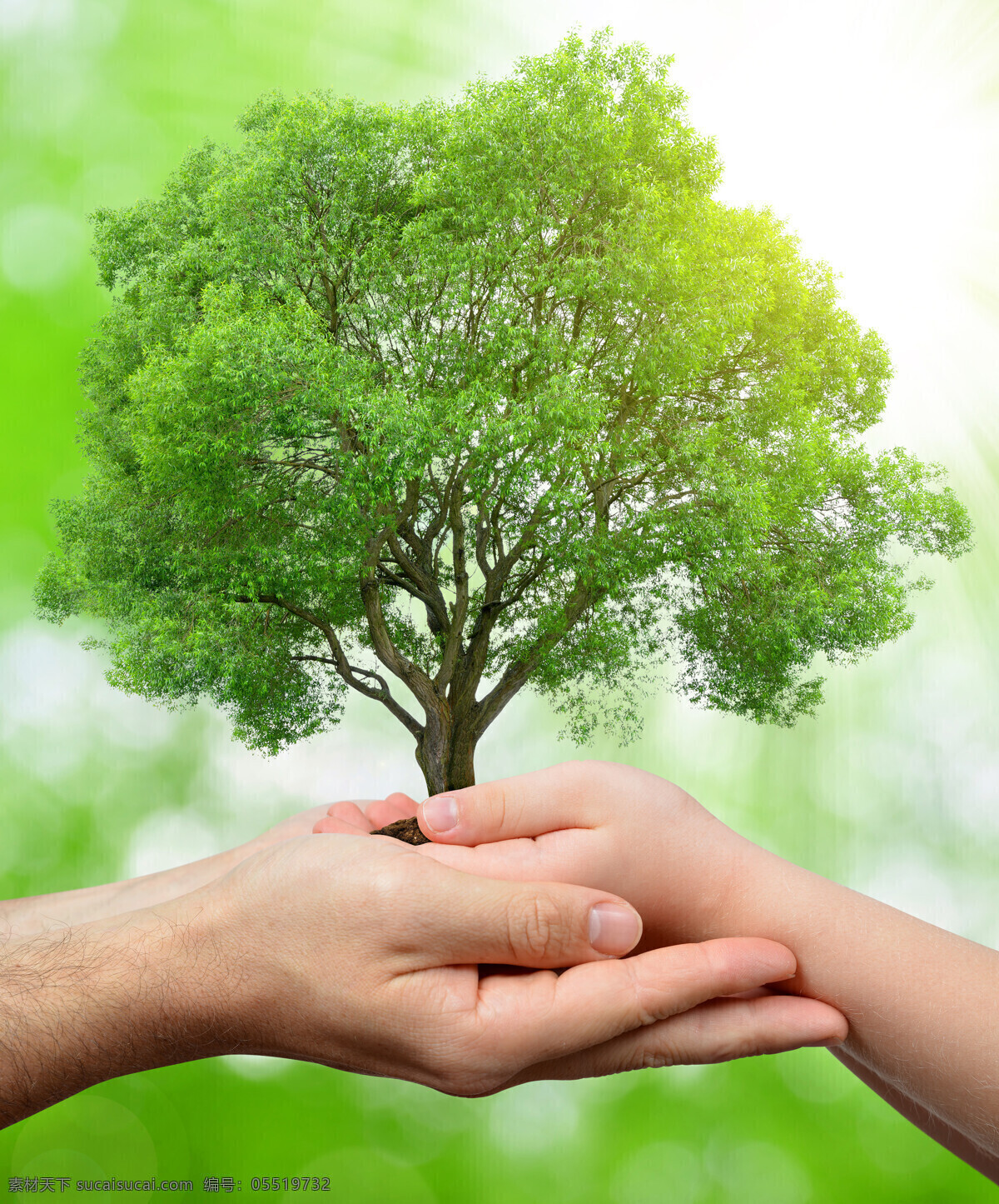 创意 呵护 树木 手势 高清 环境保护 手 捧 爱心 手捧着 土壤 爱心树木 桃心树木 绿色环保 自然景观