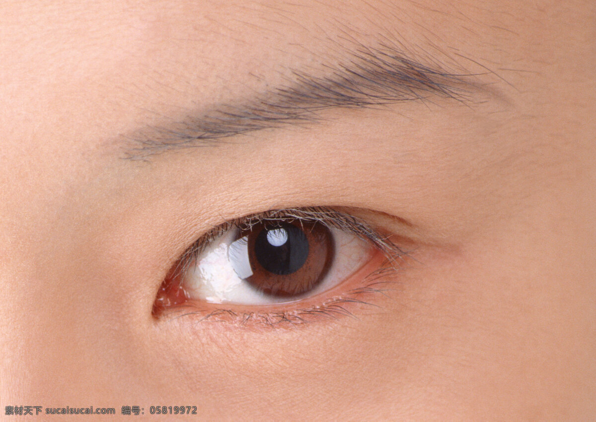 眼睛 眼睛特写 眼部 女性眼睛 眉毛 人物图库 女性女人 摄影图库