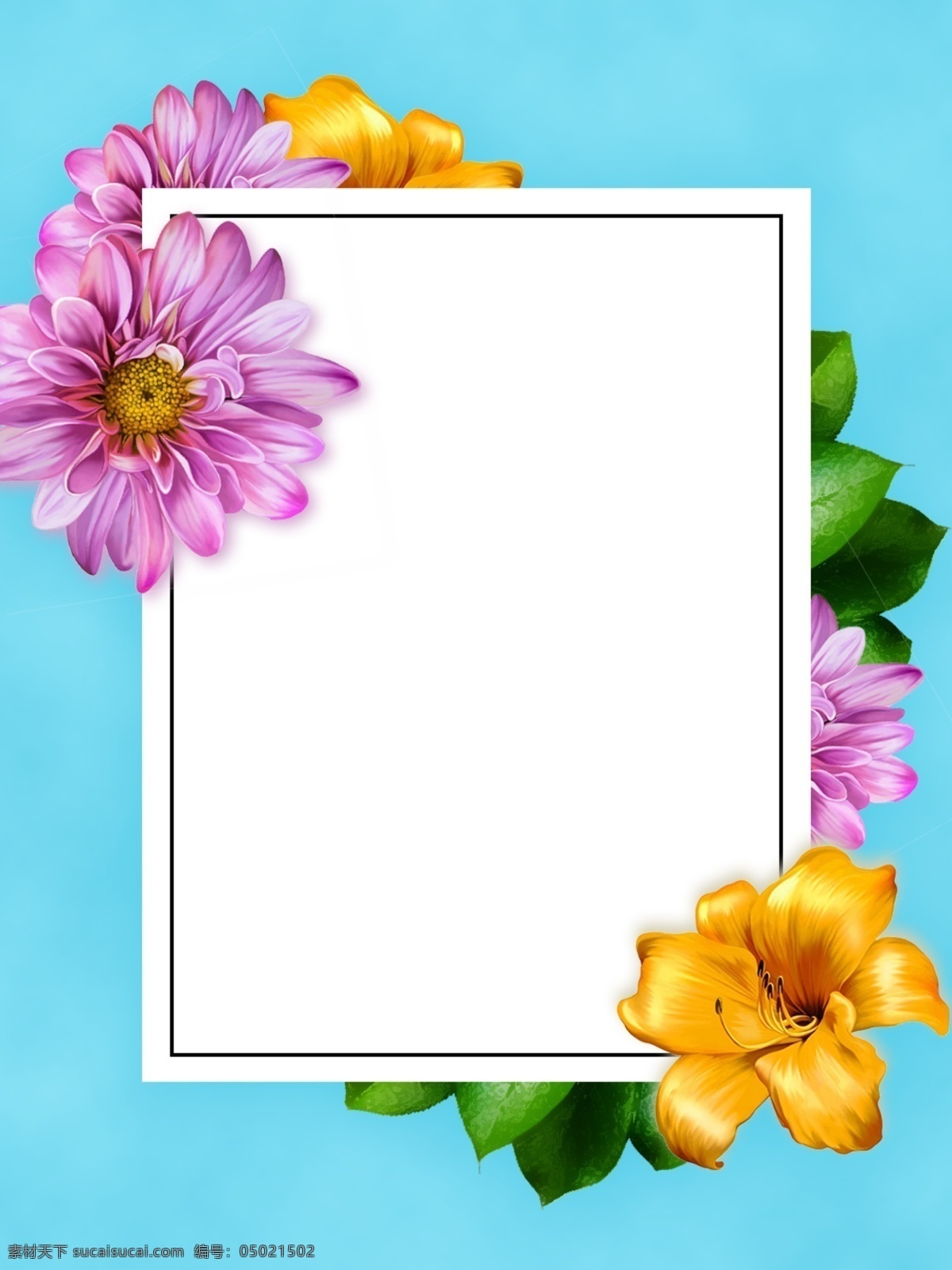 全 原创 花卉 植物 卡片 背景 百合 非洲菊 叶子 花