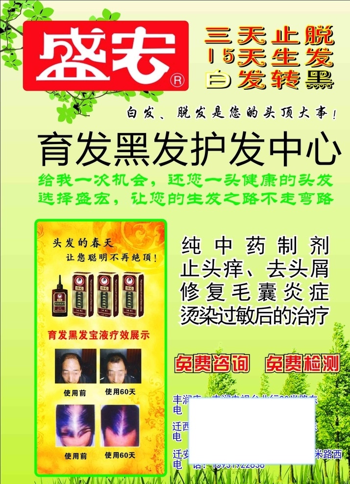 盛 宏 生发 宣传单 盛宏 生发养发护发 五一 促销 节日 生长 背景