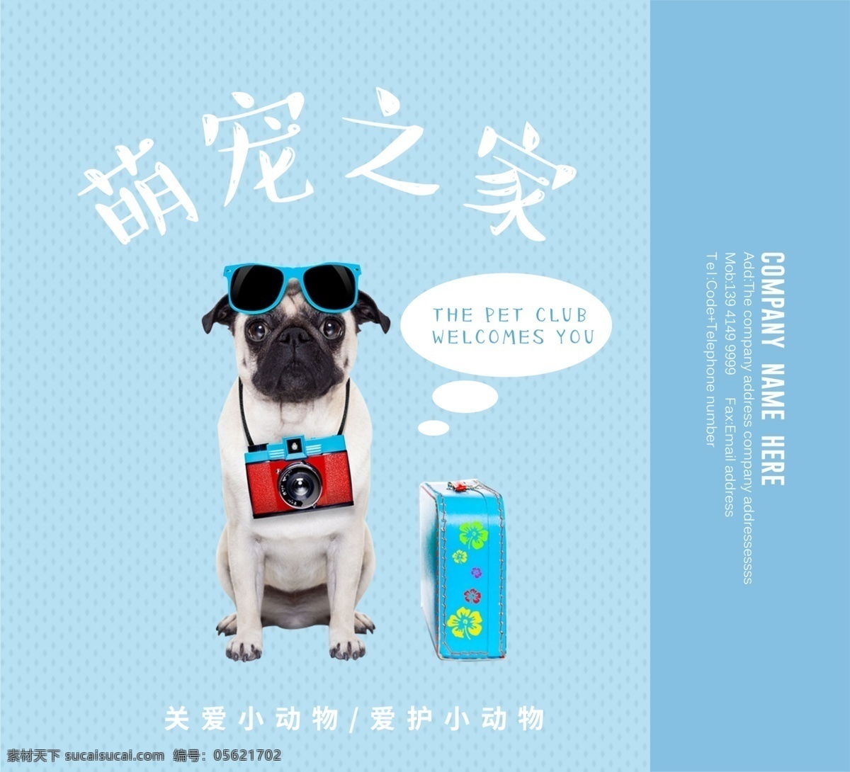 2018 蓝色 简约 萌 宠 之家 宠物 店 手提袋 包装 宠爱 一生 创城 卫生 狗狗 动物生活馆 猫咪 宠物医院 宠物关爱 免费模板 宠物店 萌宠 蓝色手提袋