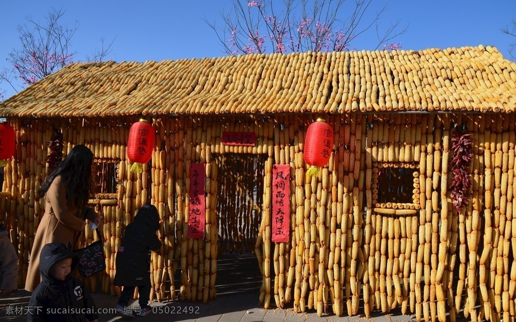 玉米屋 乡村 场景 玉米 意境 丰收 乡村影像 自然景观 田园风光