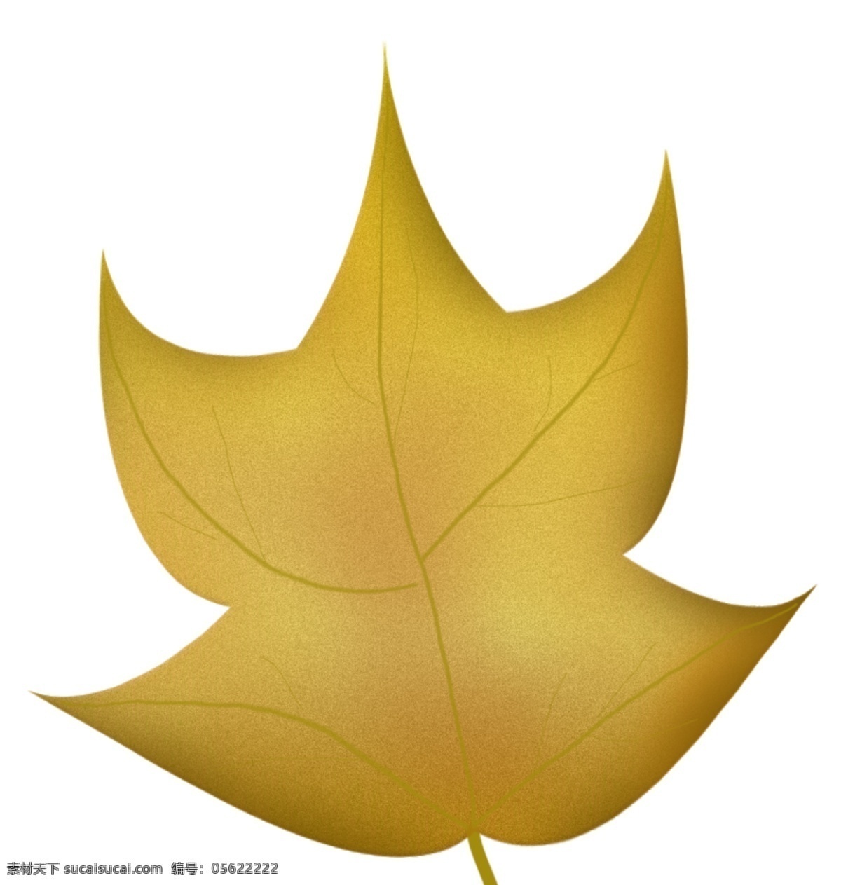 黄色 质感 枫叶 免 抠 图 卡通手绘 水彩 叶子 植物 落叶 秋天 质感叶子 创意 抽象 小清新 唯美 秋季 漂浮