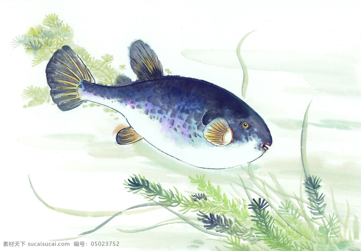 生物 鱼类 动物 绘画 古图