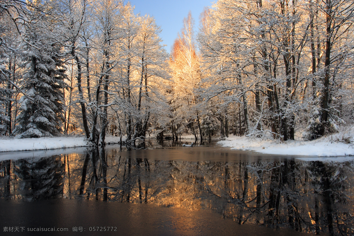 冬天 树林 湖泊 风景 树林风景 湖面倒影 湖泊风景 风景摄影 美丽景色 自然风光 美景 自然风景 自然景观 黑色