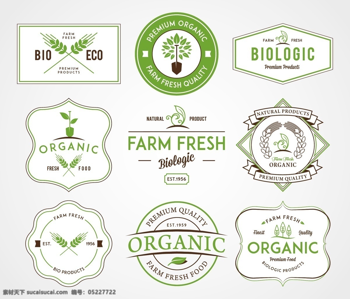 绿色环保标签 绿色 环保 生态标签 eco 标签 贴纸 绿叶 品质标签 绿色食品 纯天然 有机食品 矢量 标签主题 小图标 图标 标志 logo 网页小图标 标志图标