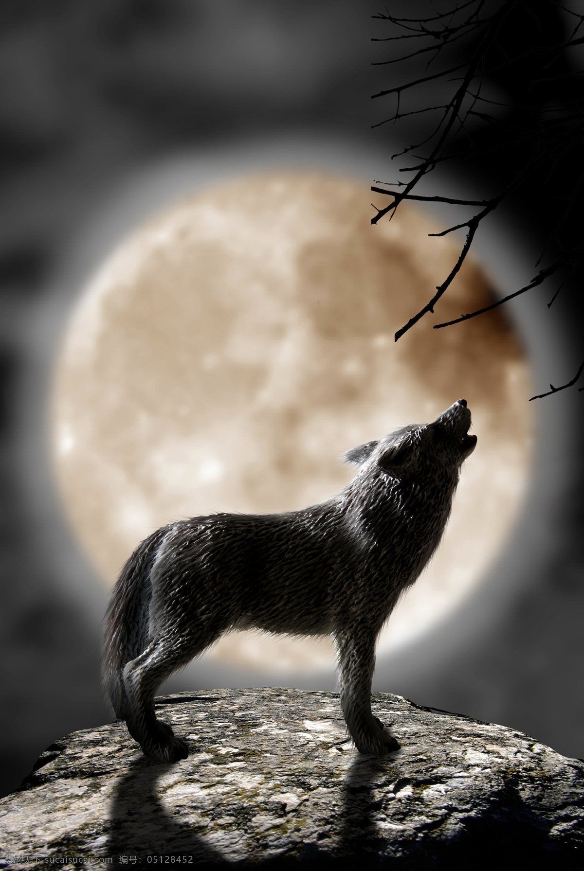 狼 月亮 嚎叫 月色 美丽月亮 美丽夜晚 月夜 美丽风景 其他风光 风景图片