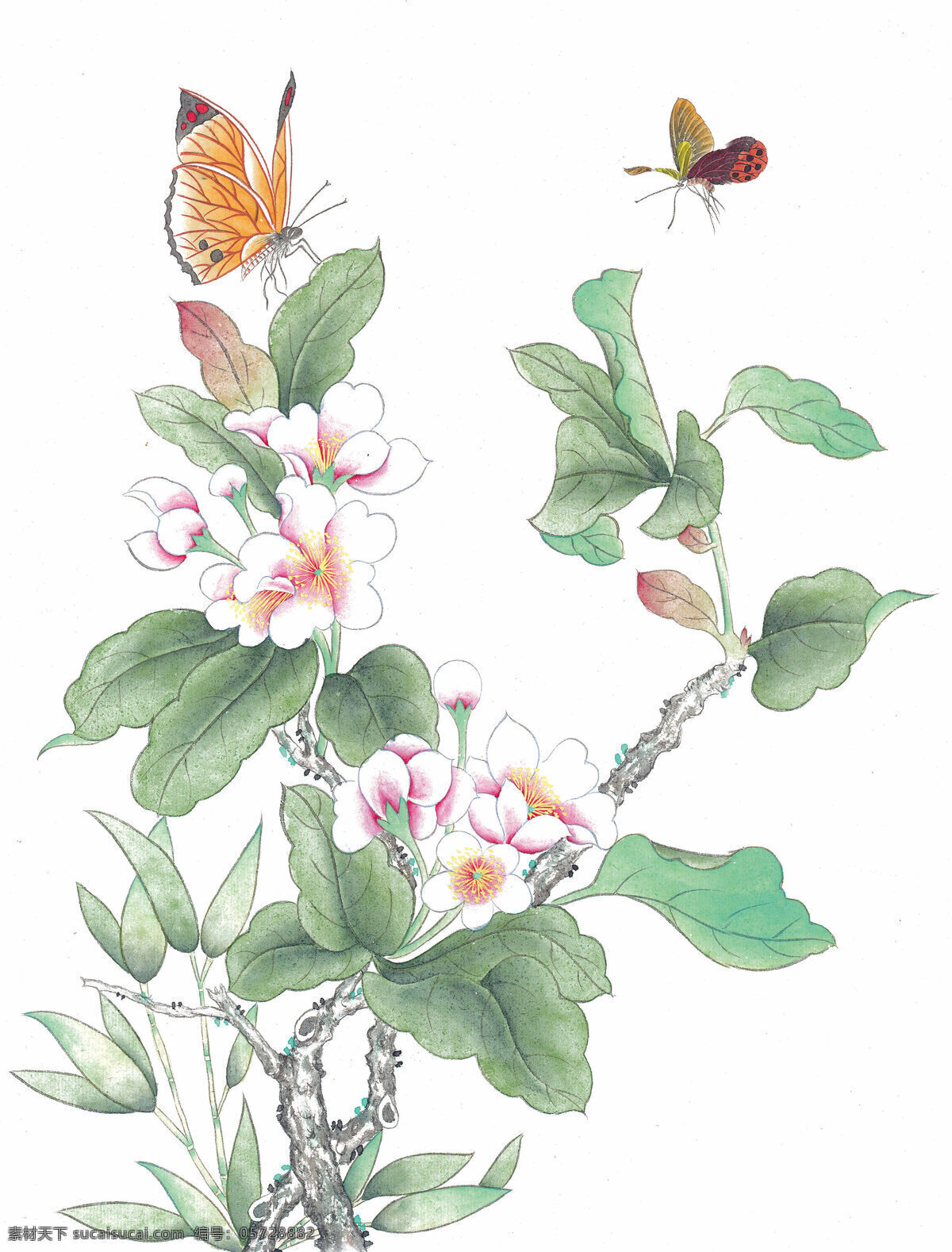 中式 花鸟 工笔画 花朵 花卉 花草 鸟 中国风 中式工笔画 文化艺术 绘画书法