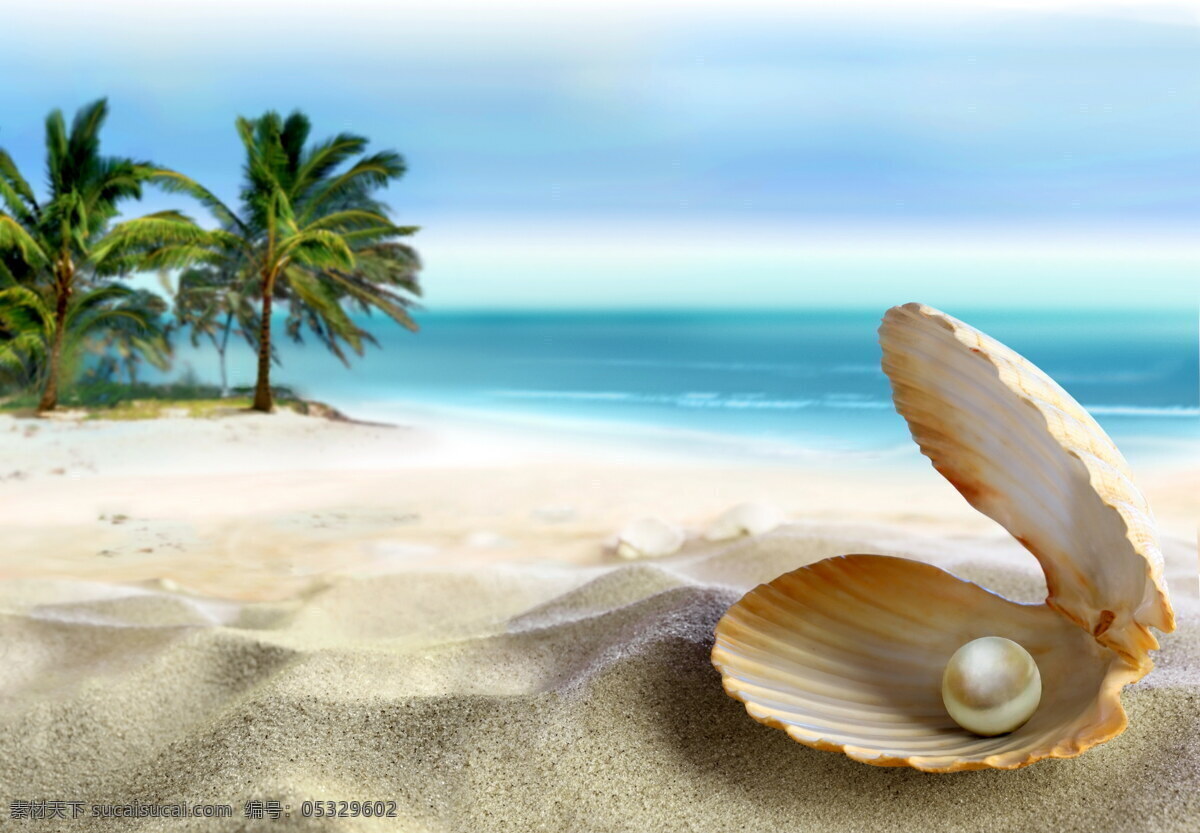 珍珠 贝壳 大海 海洋 海滩 沙滩 椰子树 夏天来了 生物世界 海洋生物