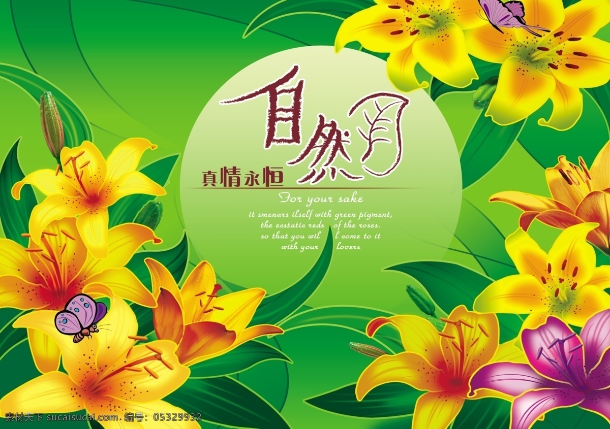 百合花 自然 绿叶 紫色的百合 蝴蝶 背景 花蕊 风景 分层 源文件