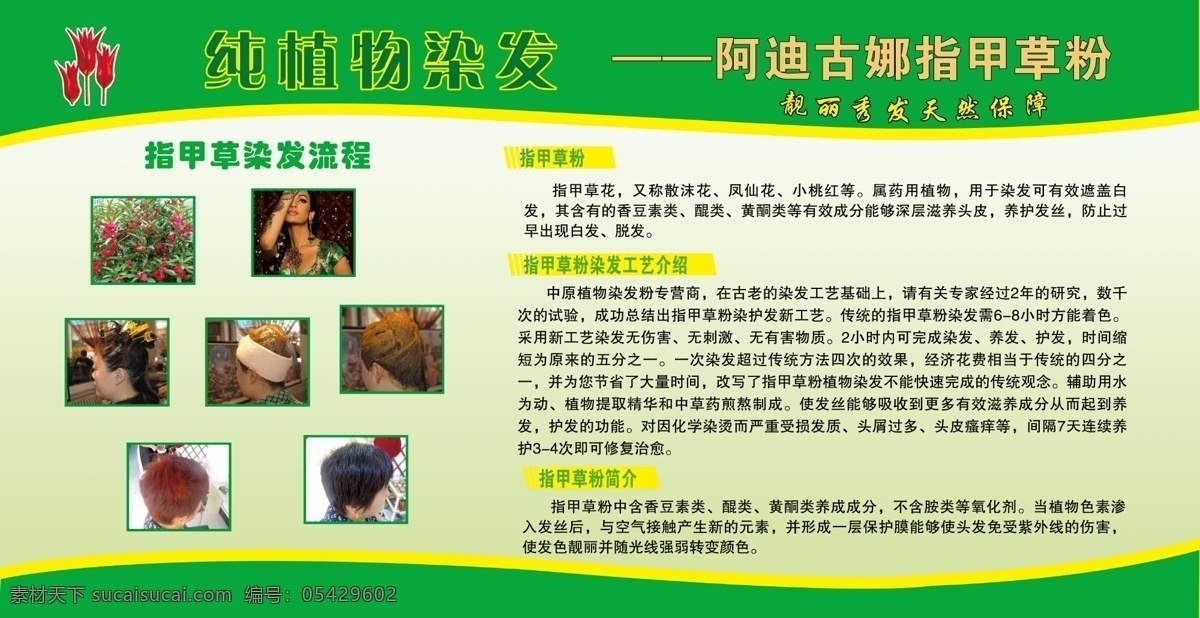 阿迪 古 娜 指甲 草粉 阿迪古娜染发 指甲草粉简介 天然植物染发 指甲草流程图 指甲草粉版面 分层
