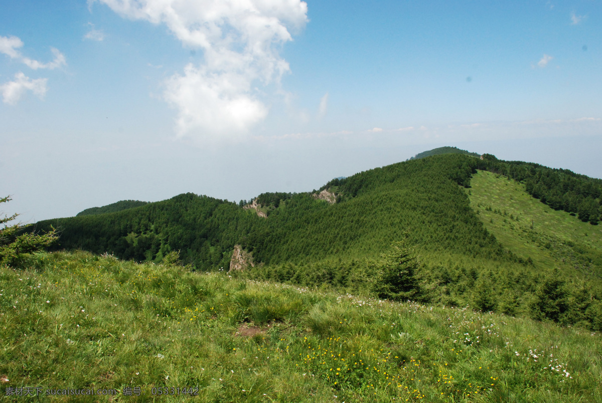 蓝天白云 阔野千里 高山草甸 草原 草地 田园 自然风光 绿色 高清 桌面 屏保 背景 风景 自然景观 田园风光