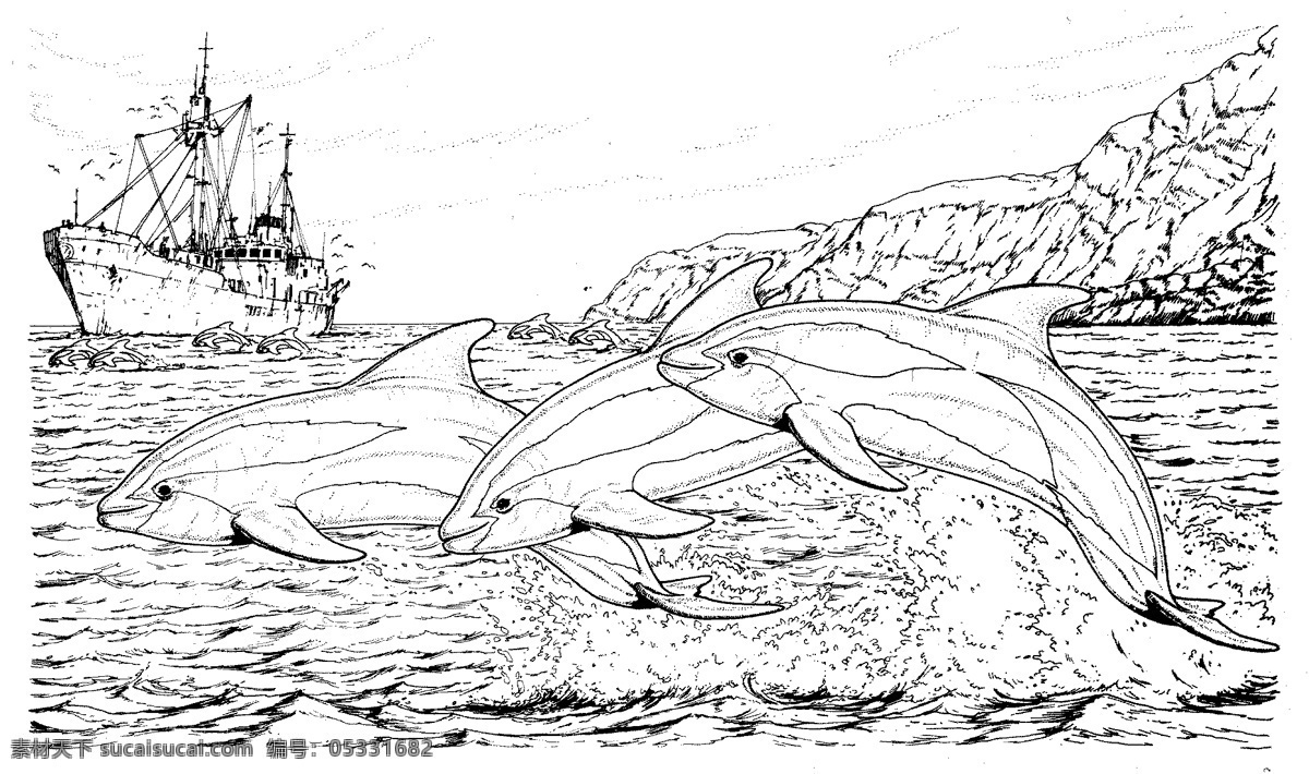海豚素描 鱼 水中动物 动物素描 哺乳动物 海豚 动物手绘画 设计素材 动物专辑 素描速写 书画美术 白色