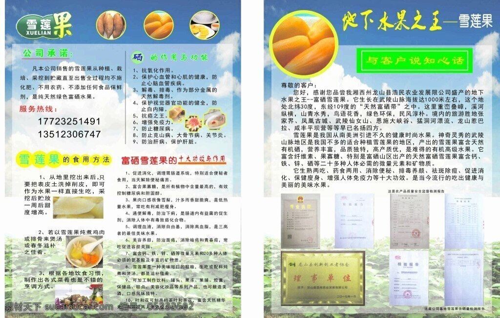 备份 雪莲 果 宣传单 成型 开 双面 可以 供 参考