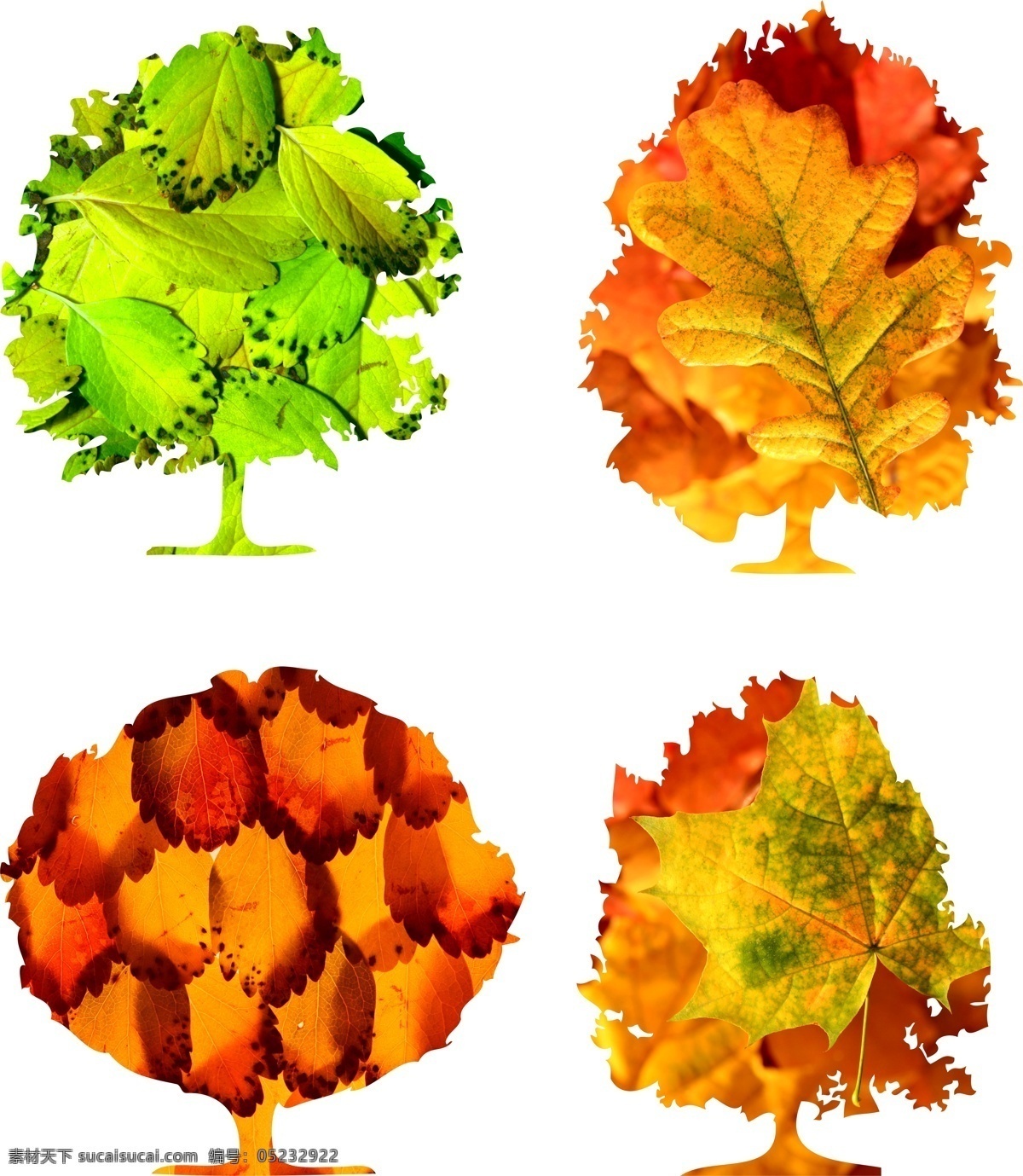 树叶 树 创意 图案 创意树 剪影 秋天树叶 绿叶 枫叶 落叶 黄叶 叶子 装饰画 花草树木 生物世界