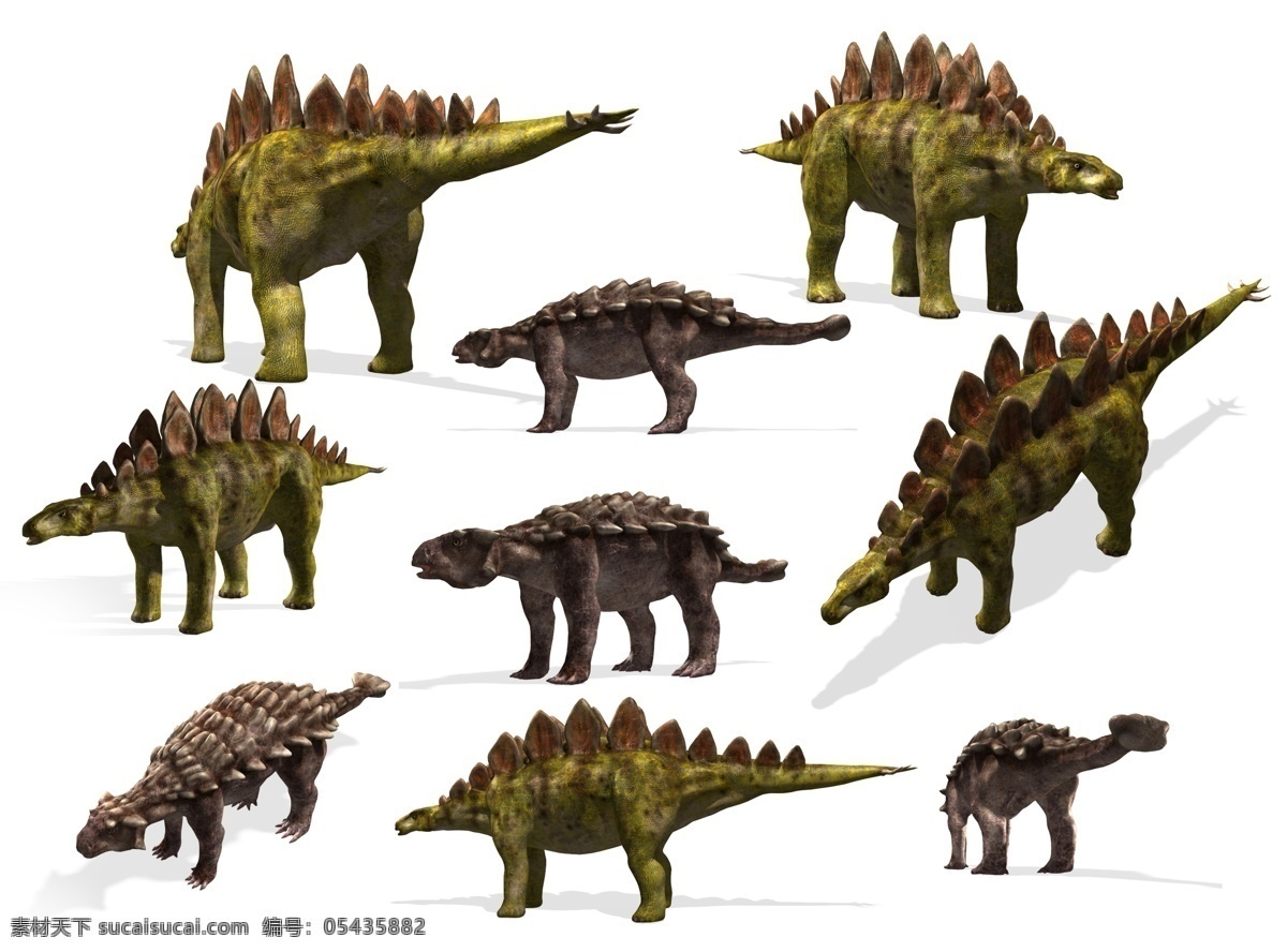 剑龙 恐龙 恐龙设计 侏罗纪 侏罗纪公园 白垩纪 远古生物 3d设计 3d恐龙 生物世界 白色