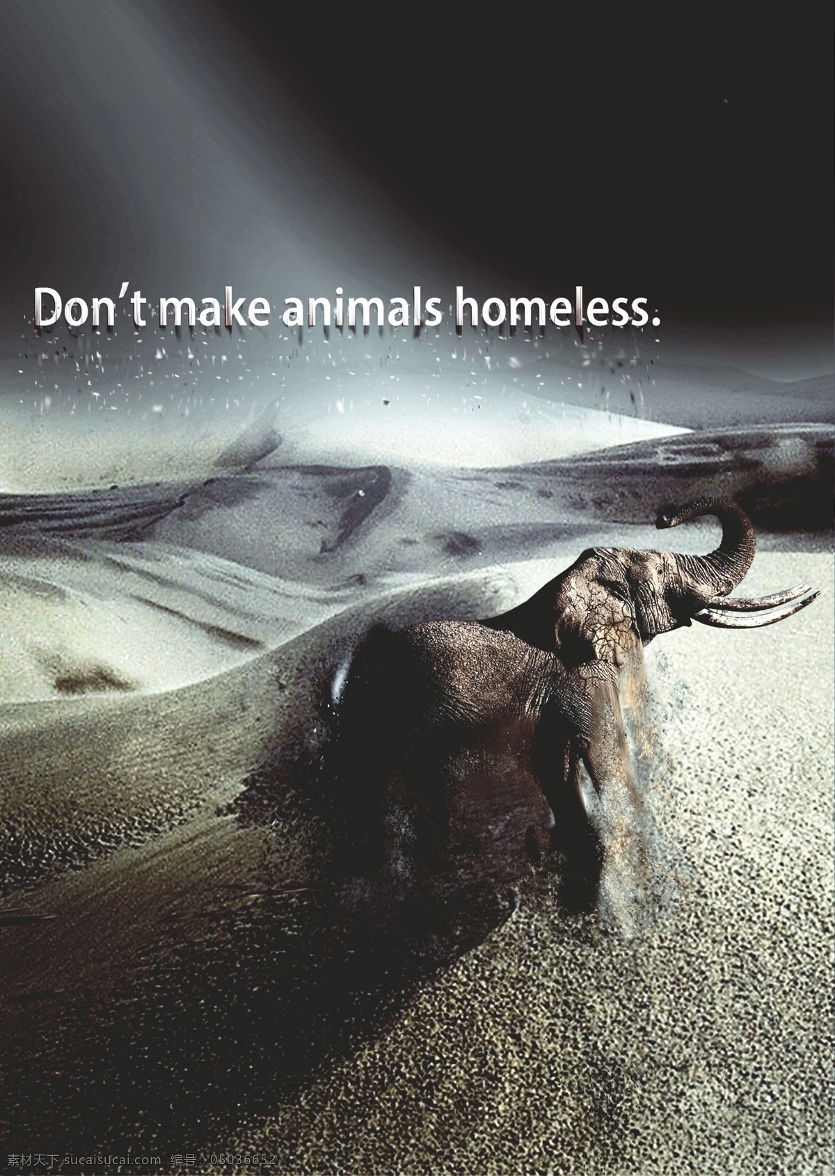 不要 动物 无家可归 海报 大象 沙漠 荒漠 公益海报 废土