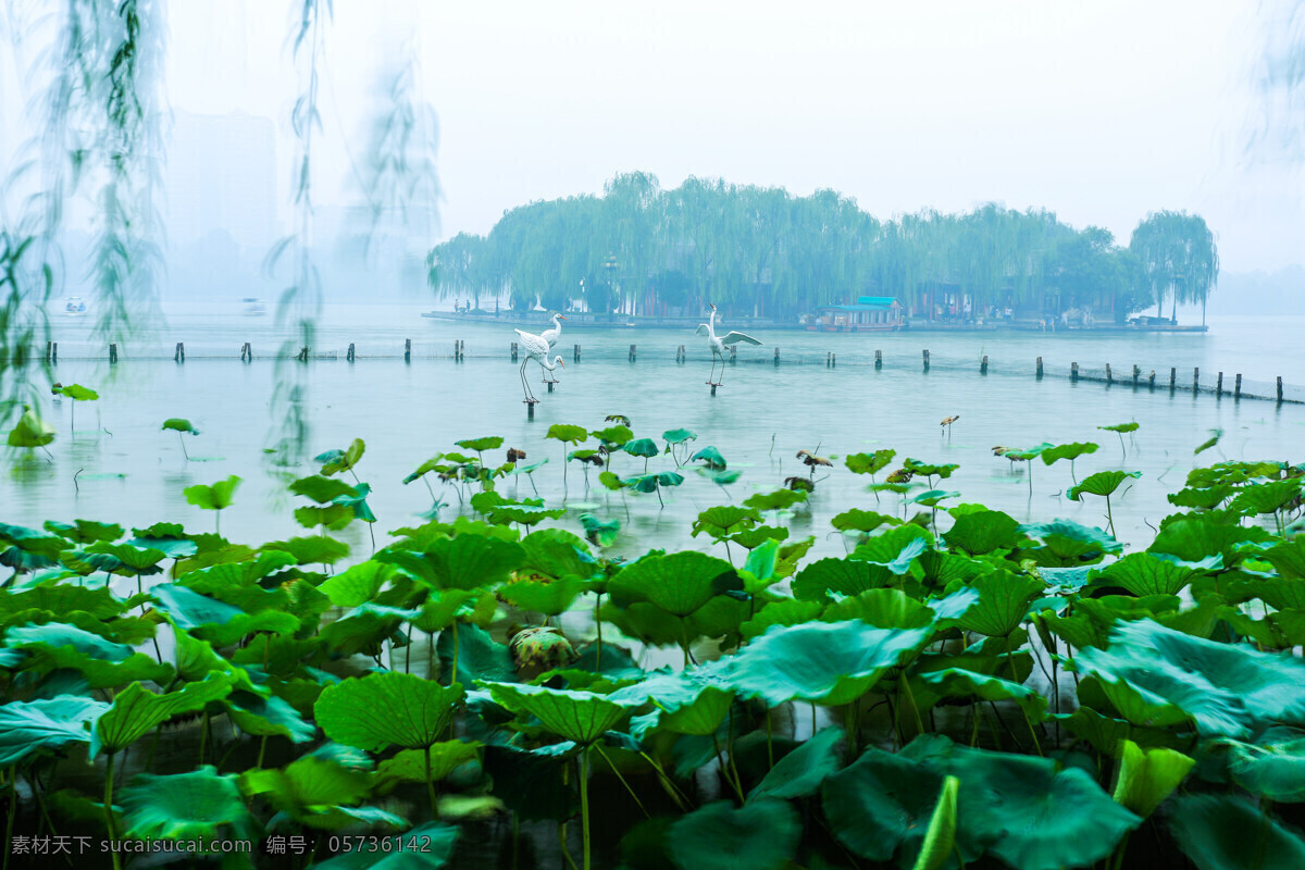 大明湖 山东 济南 泉水湖 泉城 天然湖泊 湖水 荷叶 亭台楼阁 杨柳 庭园 园林风景名胜 旅游胜地 自助游 国内旅游 旅游摄影