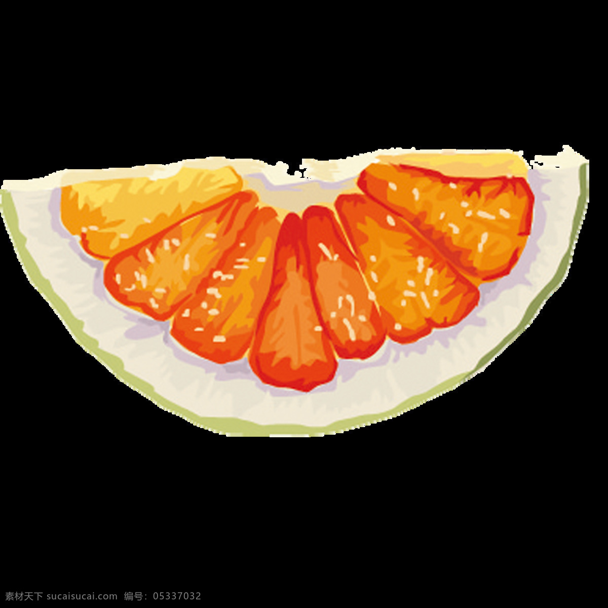 唯美 手绘 橙子 高清 插花 水果