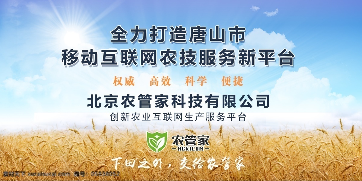 麦田广告设计 展板 蓝色 农业 麦穗 麦田 金黄 丰收 收获 麦 蓝 天 白云 白色