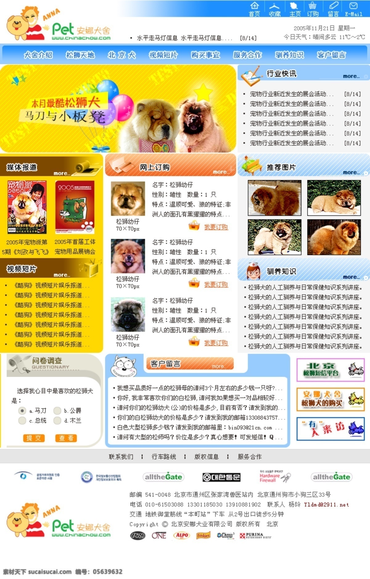犬 类 宠物 店 网站 网页 宠物店 模版 犬类 松狮 原创设计 原创网页设计