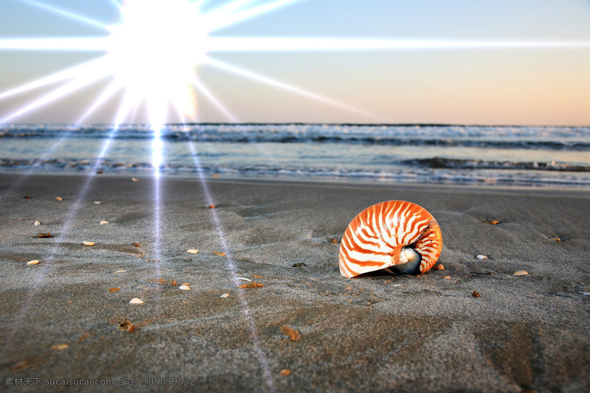 沙滩 上 贝壳 海边 海螺 海星 海平面 阳光 唯美 安静 宁静 自然 大海图片 风景图片