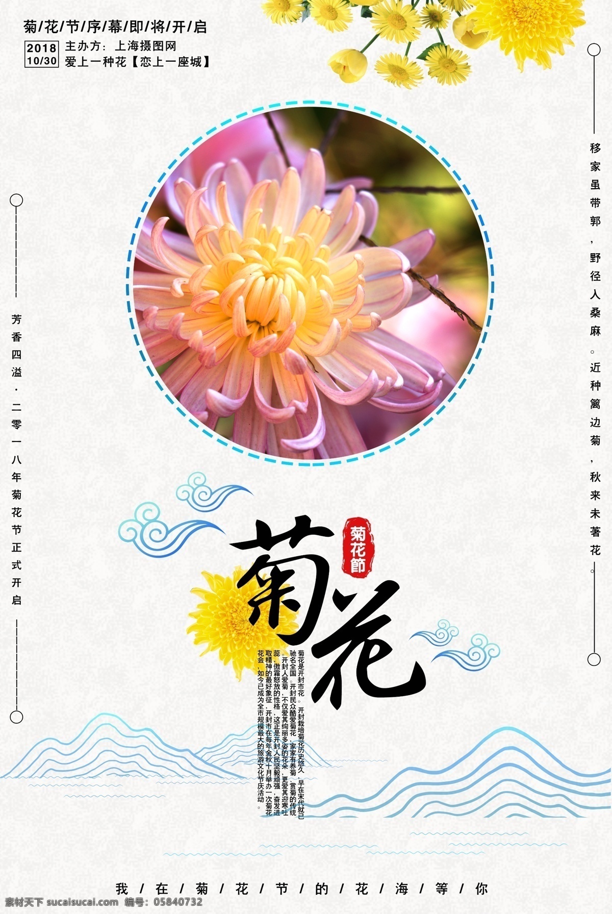简约 中国 风 菊花 节 宣传海报 菊花节 赏菊 菊花展 花艺 活动推广 海报 鲜花展 鲜花活动 中式海报 简约海报